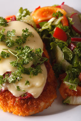 Chicken Parmigiana and vegetable salad macro. vertical
