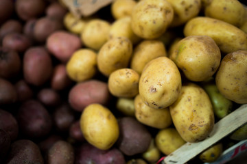 Potatoes in Florence