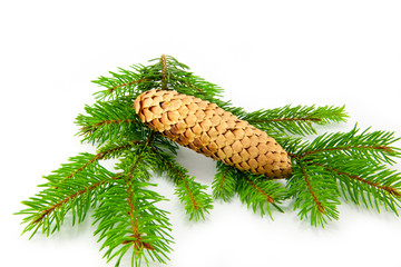 Beautiful Christmas decorations