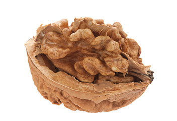 Walnut fruit on white