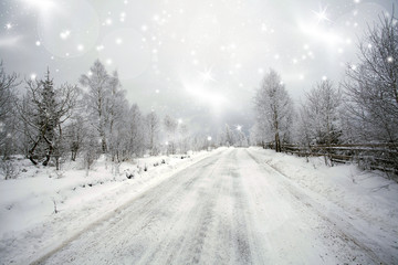 Winter road in the forest