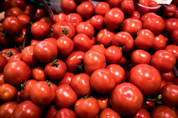 Tomatoes in Florence