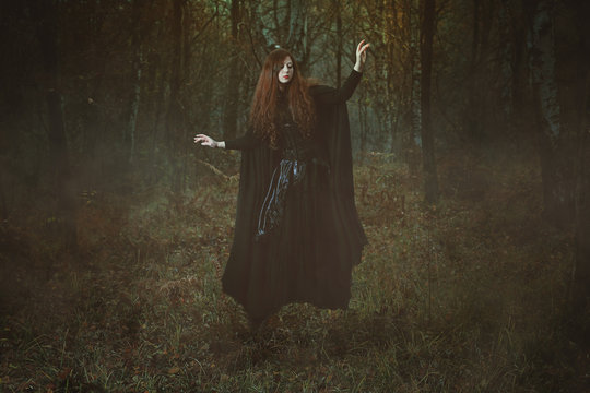 Witch In Forest Images – Browse 167,845 Stock Photos, Vectors, and Video |  Adobe Stock