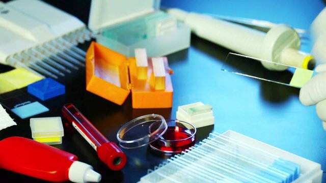 Specimen Preparation - Scientist Or Lab Technician Prepares A Microscope Slide