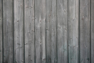 Wood Texture