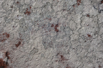 Texture of a rock wall with cracks and lichens 