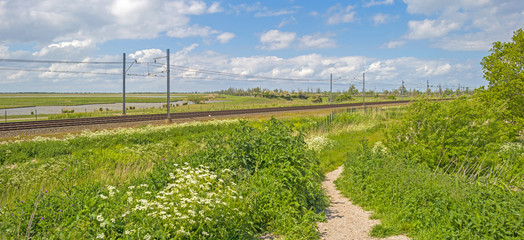 Railroad through a sunny landscape in spring