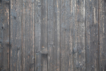 Fototapeta premium Wood Texture