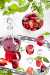 Strawberry and basil homemade liquor 