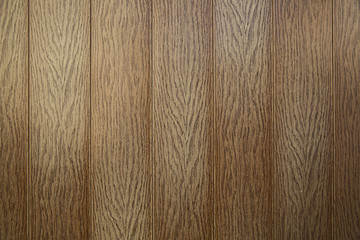 Wood Texture