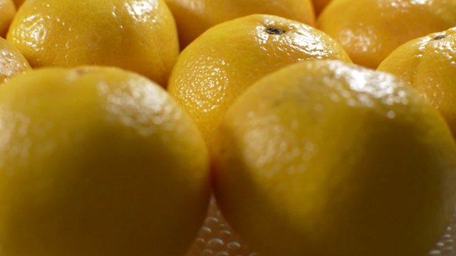 Mandarin fruit rotate