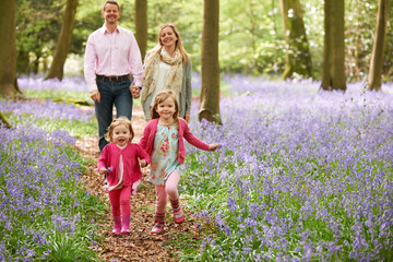 Family Walking Through Bluebell Woods Together