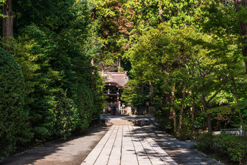 Fototapeta na wymiar 鎌倉　鶴岡八幡宮　白旗神社