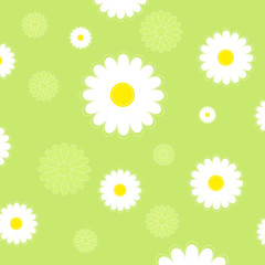 background with camomiles