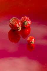 Dried hips of wild rose on red background