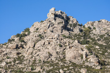 Mediterranean vegetation in Sierra de los Porrones, Guadarrama Mountains, Madrid, Spain.