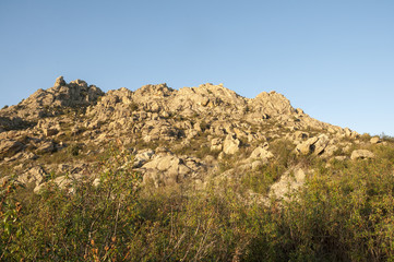 Mediterranean vegetation in Sierra de los Porrones, Guadarrama Mountains, Madrid, Spain.