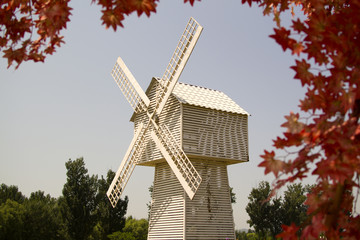 Windwill and red leaves