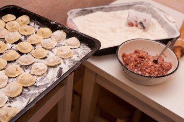making dumpling meat