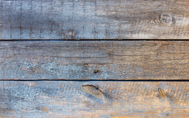 Wood Background Texture, old grunge door