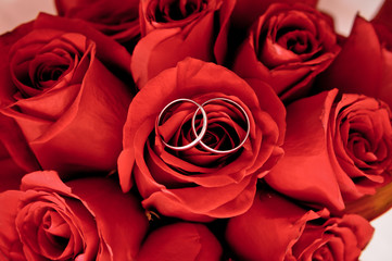 Mushroom in the forest.