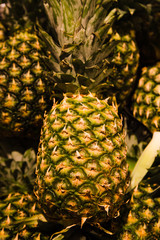 Close up of fresh pineapple on market stand