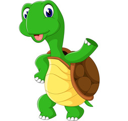 Cute cartoon turtle of illustration
