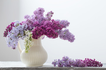 The beautiful lilac on white background