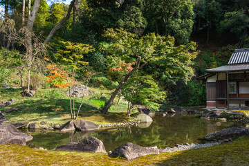 Fototapeta na wymiar 秋の鎌倉　円覚寺　方丈庭園