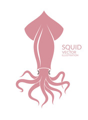 Squid
