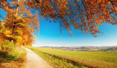 Herbstlandschaft