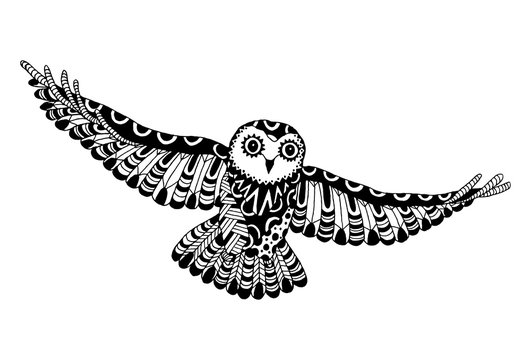 Vector Zentangle Flying Owl