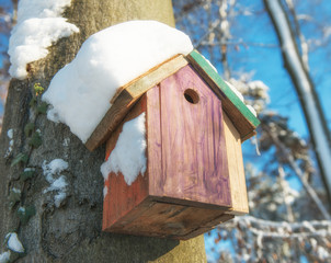 Vogelhaus im Schnee
