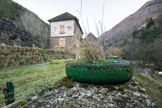 La Cimenterie Pelloux à Valbonnais, avec en premier plan une plante dans un pneu vert, et en arrière plan les montagnes aux couleurs d'automne