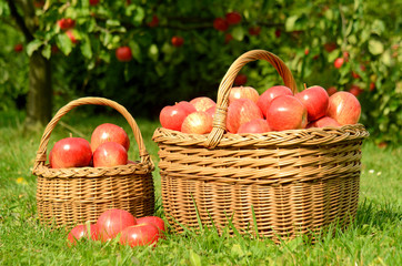 Two wicker baskets full of red apples