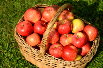 Wicker basket full of red apples