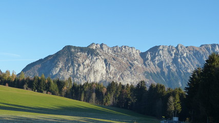 Grimming Blick