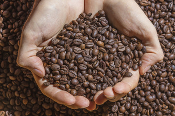 Cupped hands holding handful of roasted coffee beans