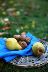 Fruits and walnuts on wicker mat, on green grass background