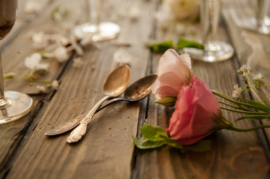 Two teaspoons on a table strewn with flower petals