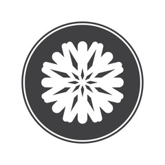 Snowflake icon