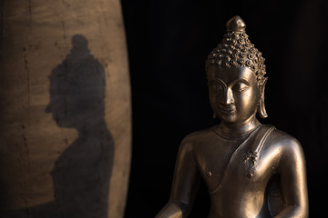 Buddha with shadow in light
