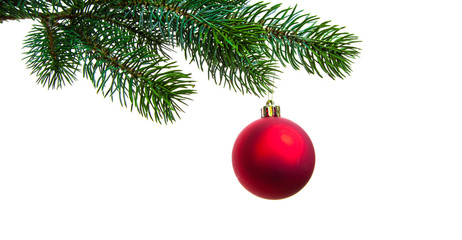 Christmas ball on twig of evergreen