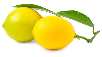 Two lemons on a white background