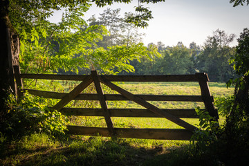 Old wooden gate, entrance into the green meadow in a sunny day in Romania