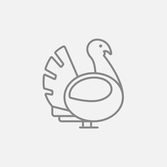 Turkey line icon.