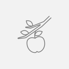Apple harvest line icon.