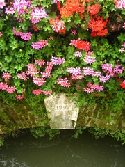 Flowers on Old Bridge 