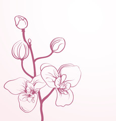 spring flowers in line-art style