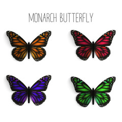 Fototapeta na wymiar Set of realistic monarch butterflies in different colors.